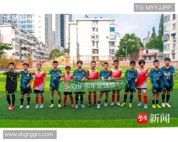 追逐绿茵梦想从少年到巨星的奋斗与荣耀自传